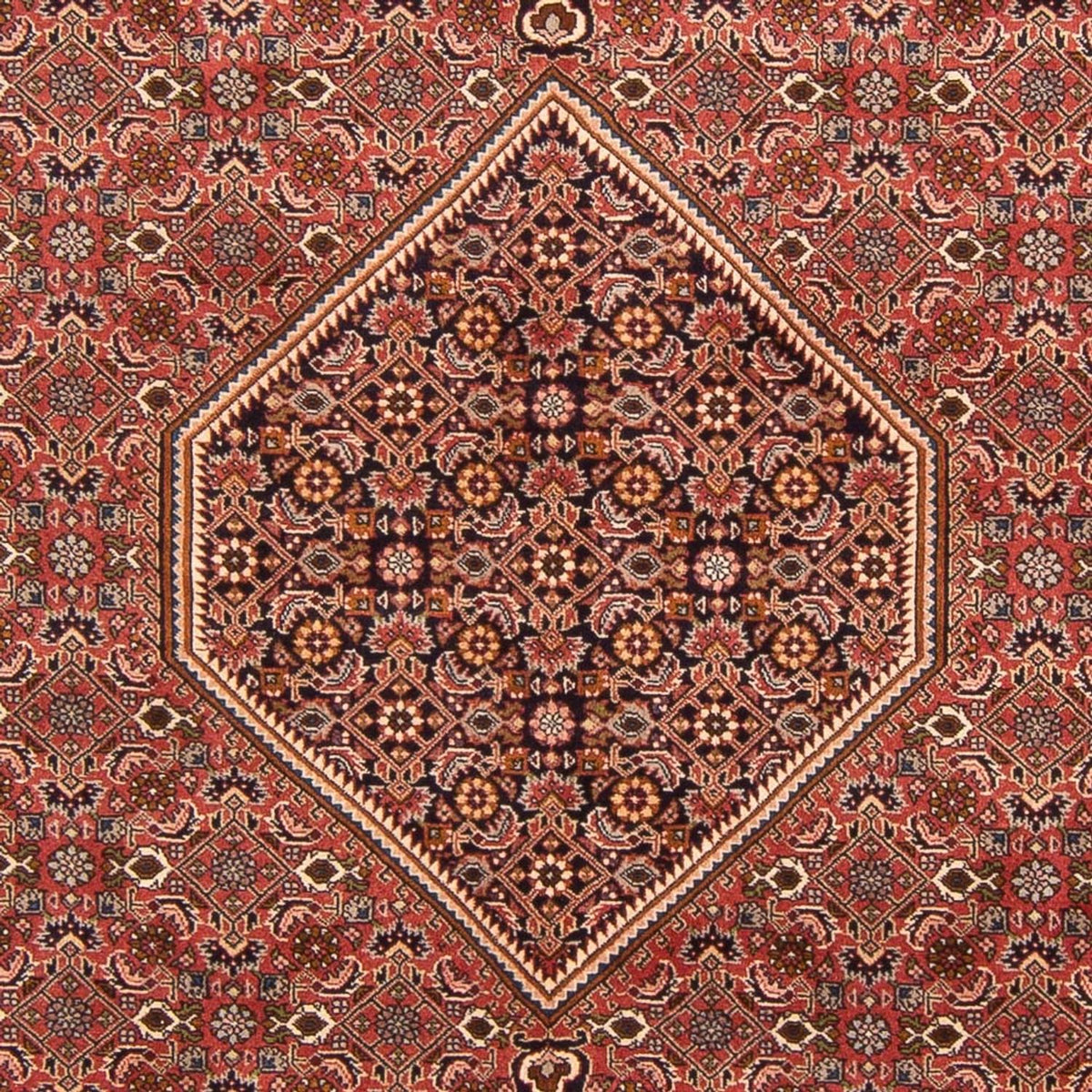 Alfombra persa - Bidjar - 297 x 196 cm - rojo