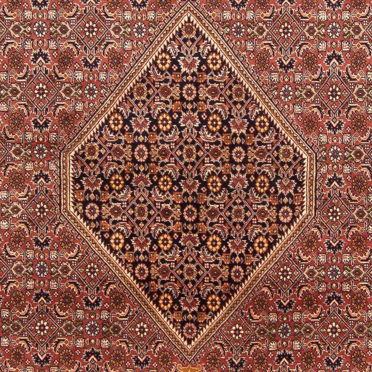 Alfombra persa - Bidjar - 300 x 197 cm - rojo