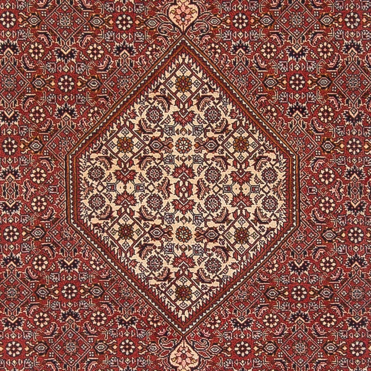 Alfombra persa - Bidjar - 291 x 197 cm - rojo