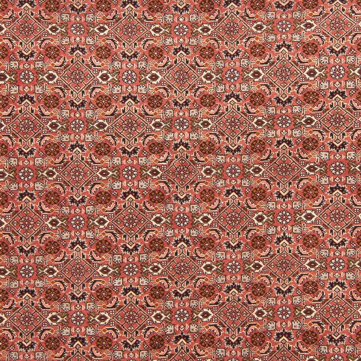 Alfombra persa - Bidjar - 288 x 202 cm - rojo