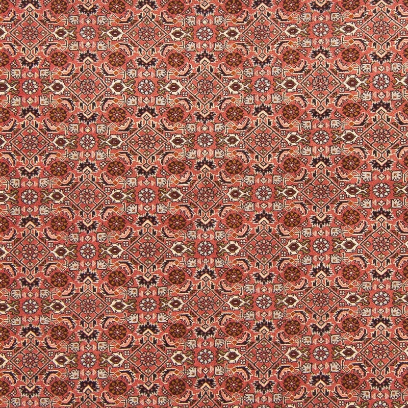 Alfombra persa - Bidjar - 288 x 202 cm - rojo
