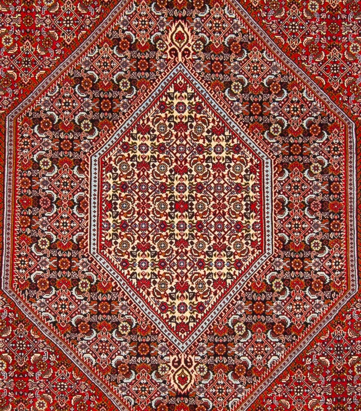 Alfombra persa - Bidjar - 341 x 248 cm - rojo