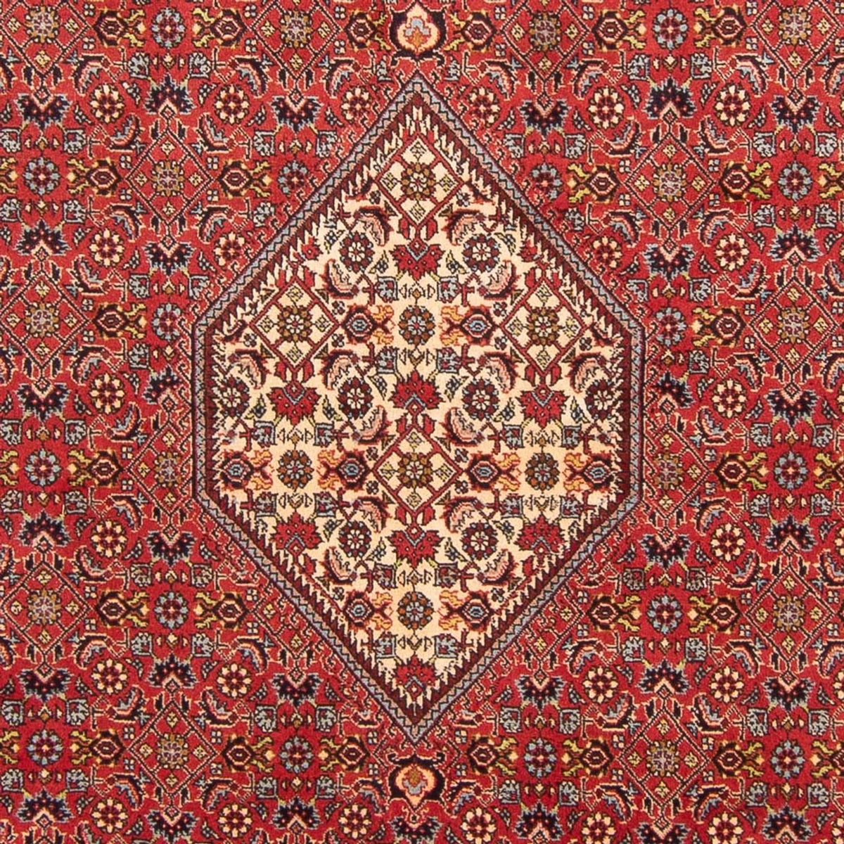 Alfombra persa - Bidjar - 293 x 206 cm - rojo