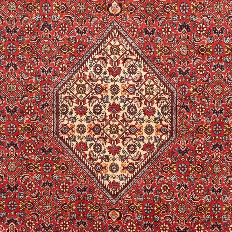 Alfombra persa - Bidjar - 293 x 206 cm - rojo