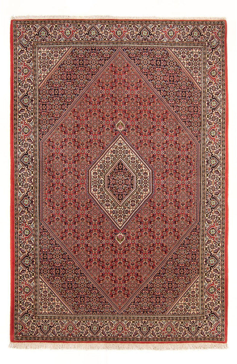 Alfombra persa - Bidjar - 294 x 200 cm - rojo