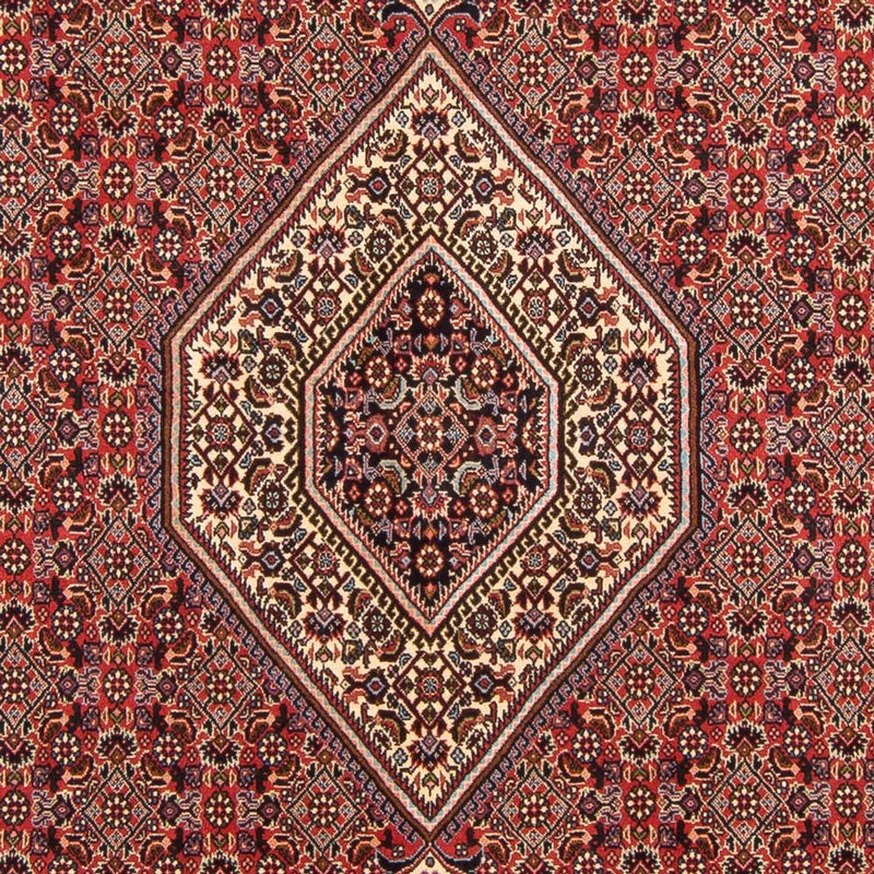 Alfombra persa - Bidjar - 294 x 200 cm - rojo