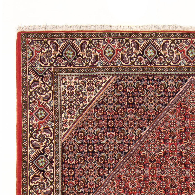 Alfombra persa - Bidjar - 294 x 200 cm - rojo