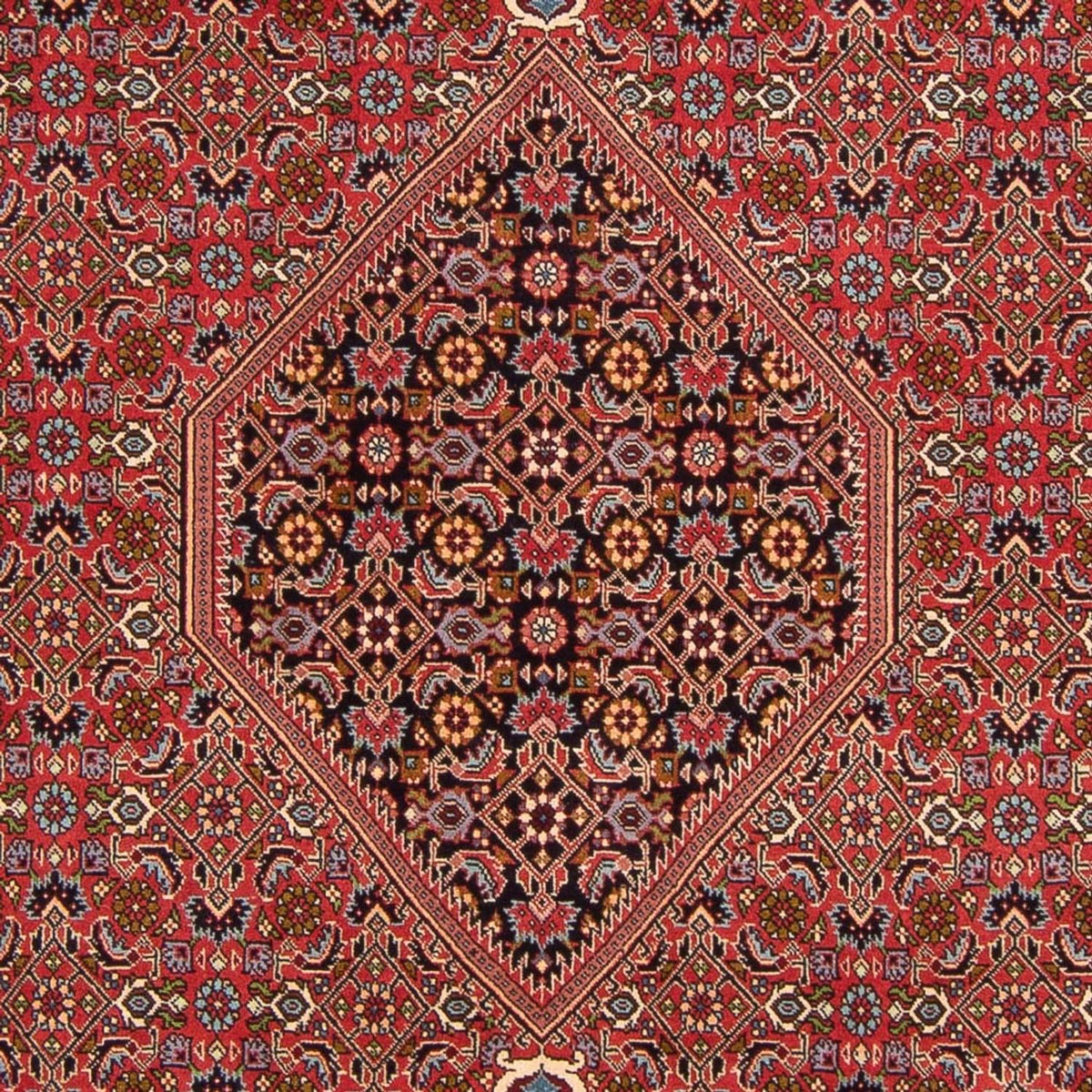 Alfombra persa - Bidjar - 307 x 200 cm - rojo