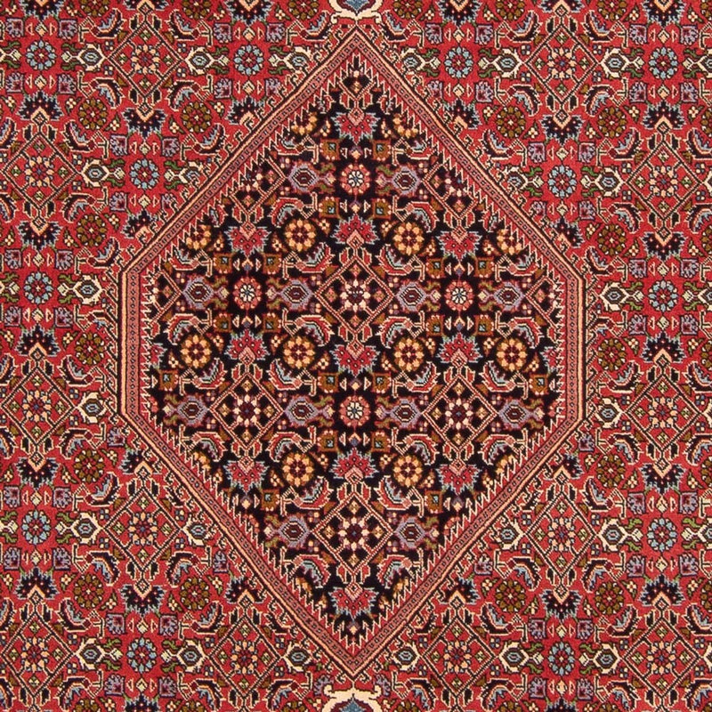 Alfombra persa - Bidjar - 307 x 200 cm - rojo