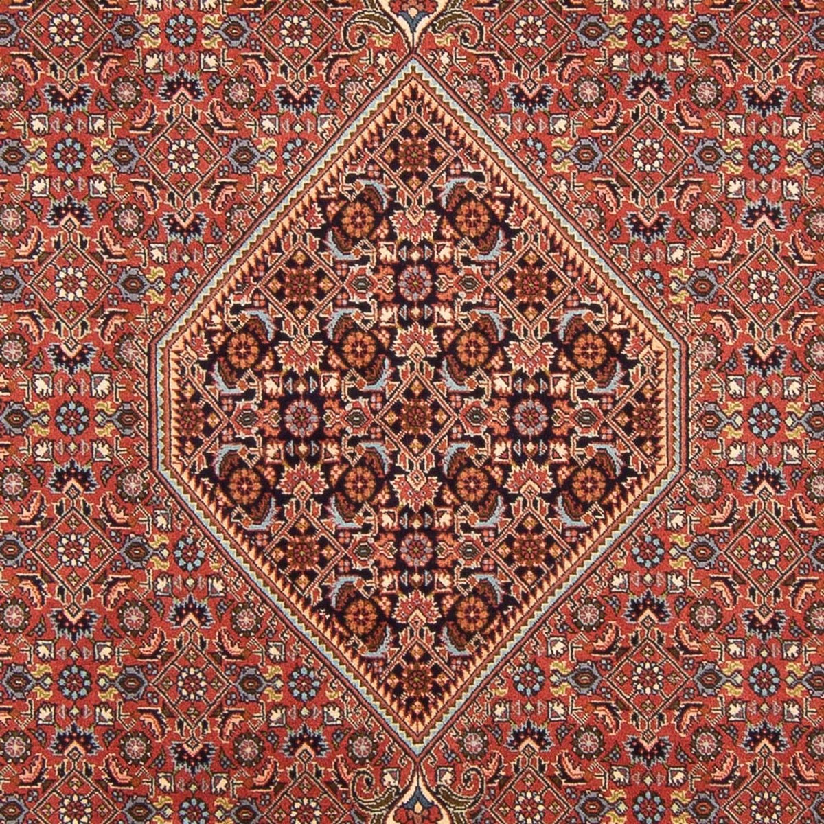 Alfombra persa - Bidjar - 296 x 197 cm - rojo