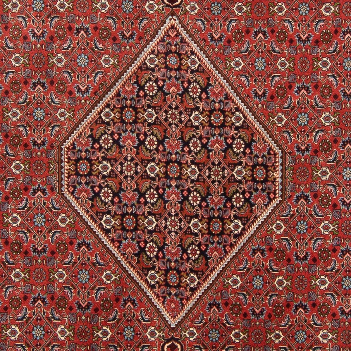 Alfombra persa - Bidjar - 310 x 200 cm - rojo