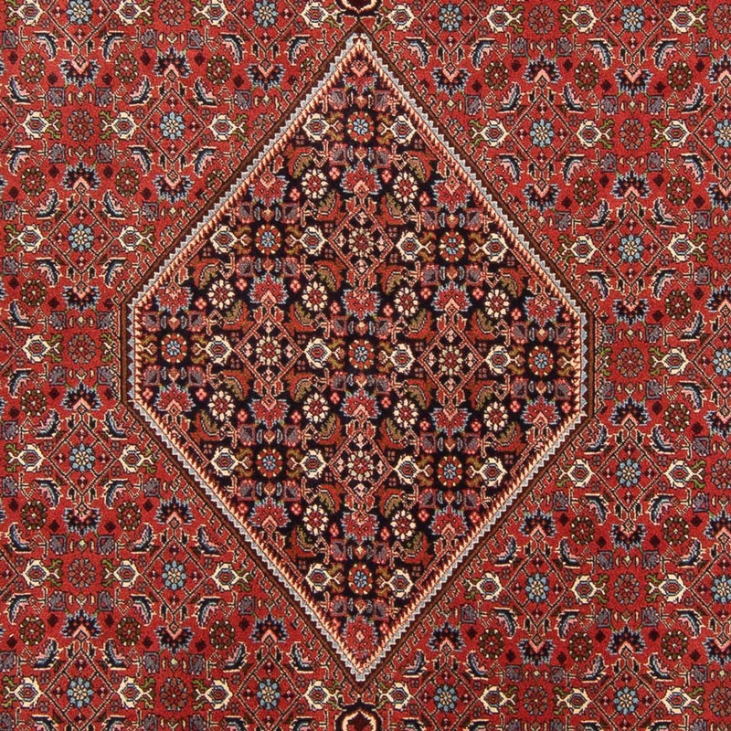 Alfombra persa - Bidjar - 310 x 200 cm - rojo