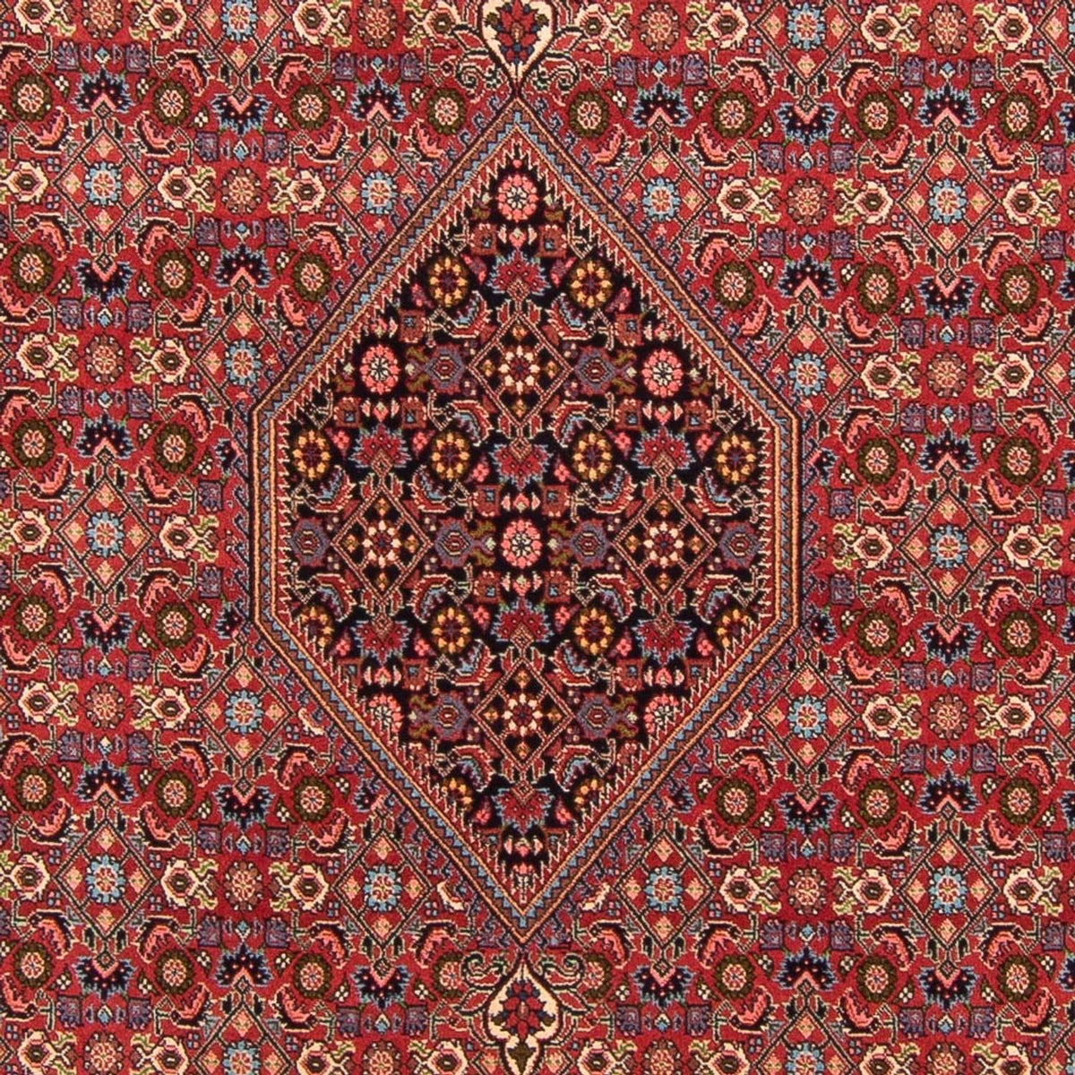 Alfombra persa - Bidjar - 302 x 199 cm - rojo