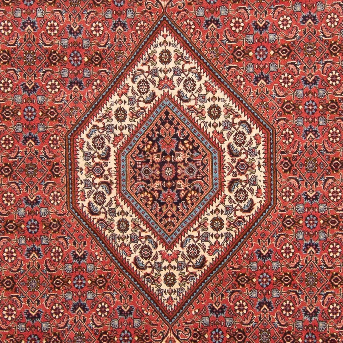 Alfombra persa - Bidjar - 290 x 204 cm - rojo