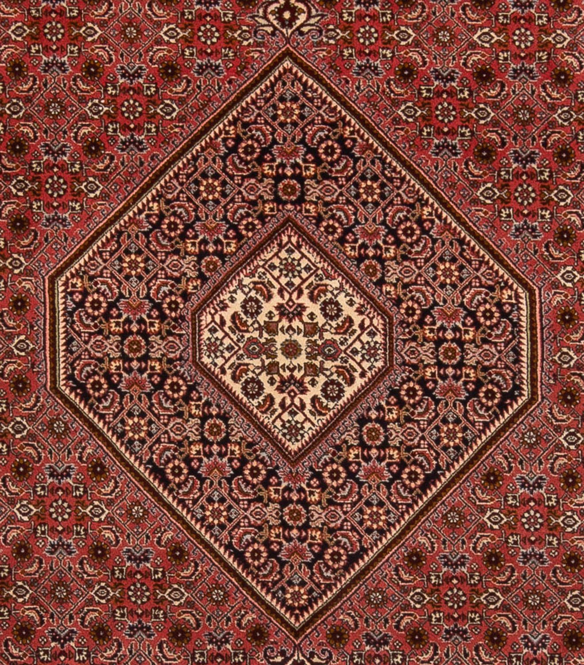 Alfombra persa - Bidjar - 350 x 250 cm - rojo oscuro