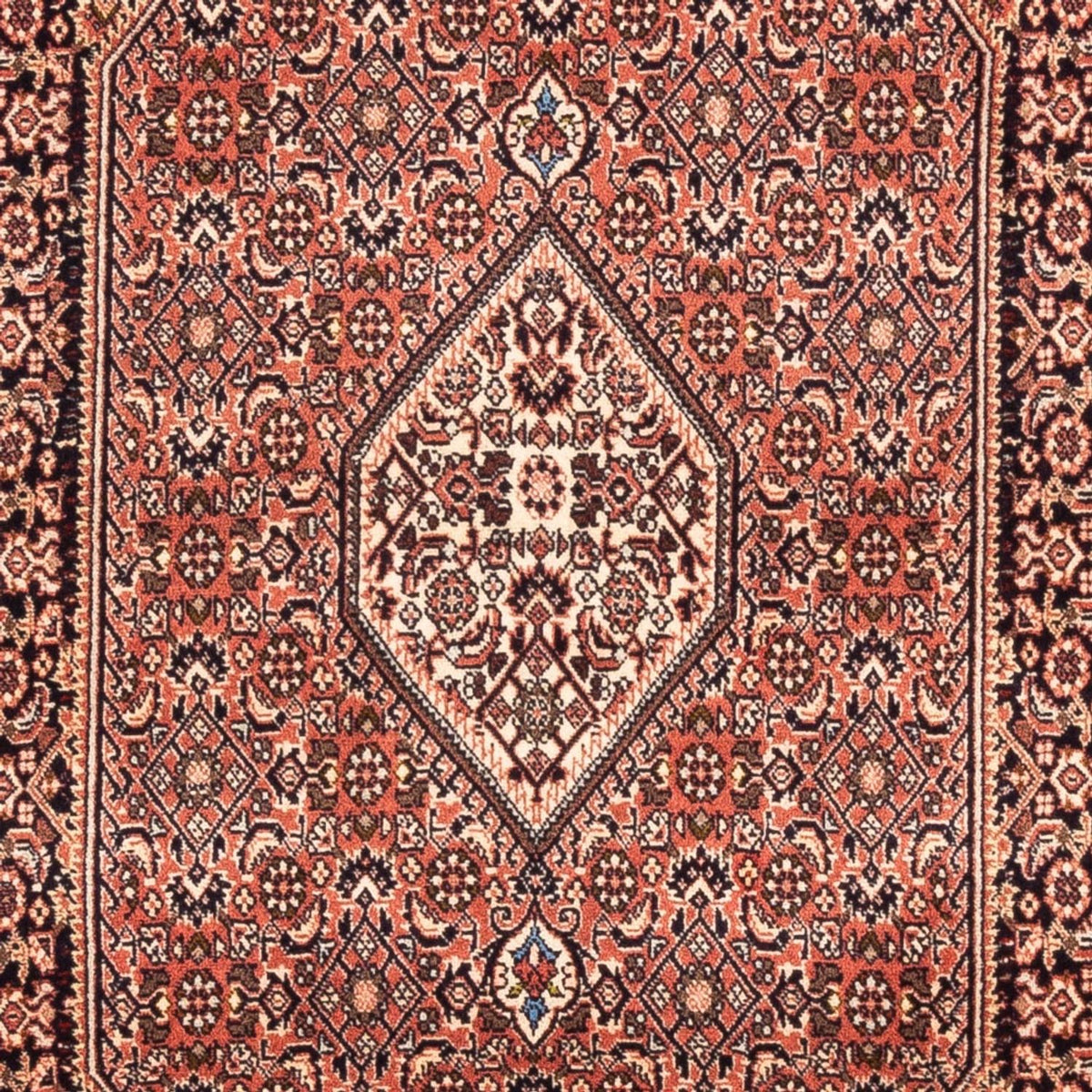 Alfombra persa - Bidjar - 177 x 110 cm - rojo