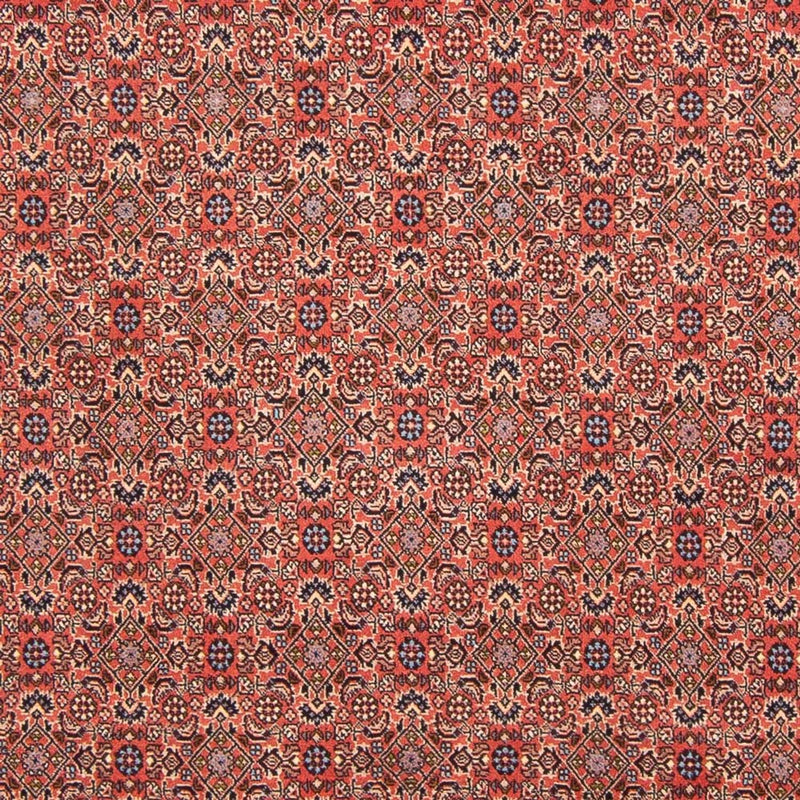 Alfombra persa - Bidjar - 298 x 196 cm - rojo