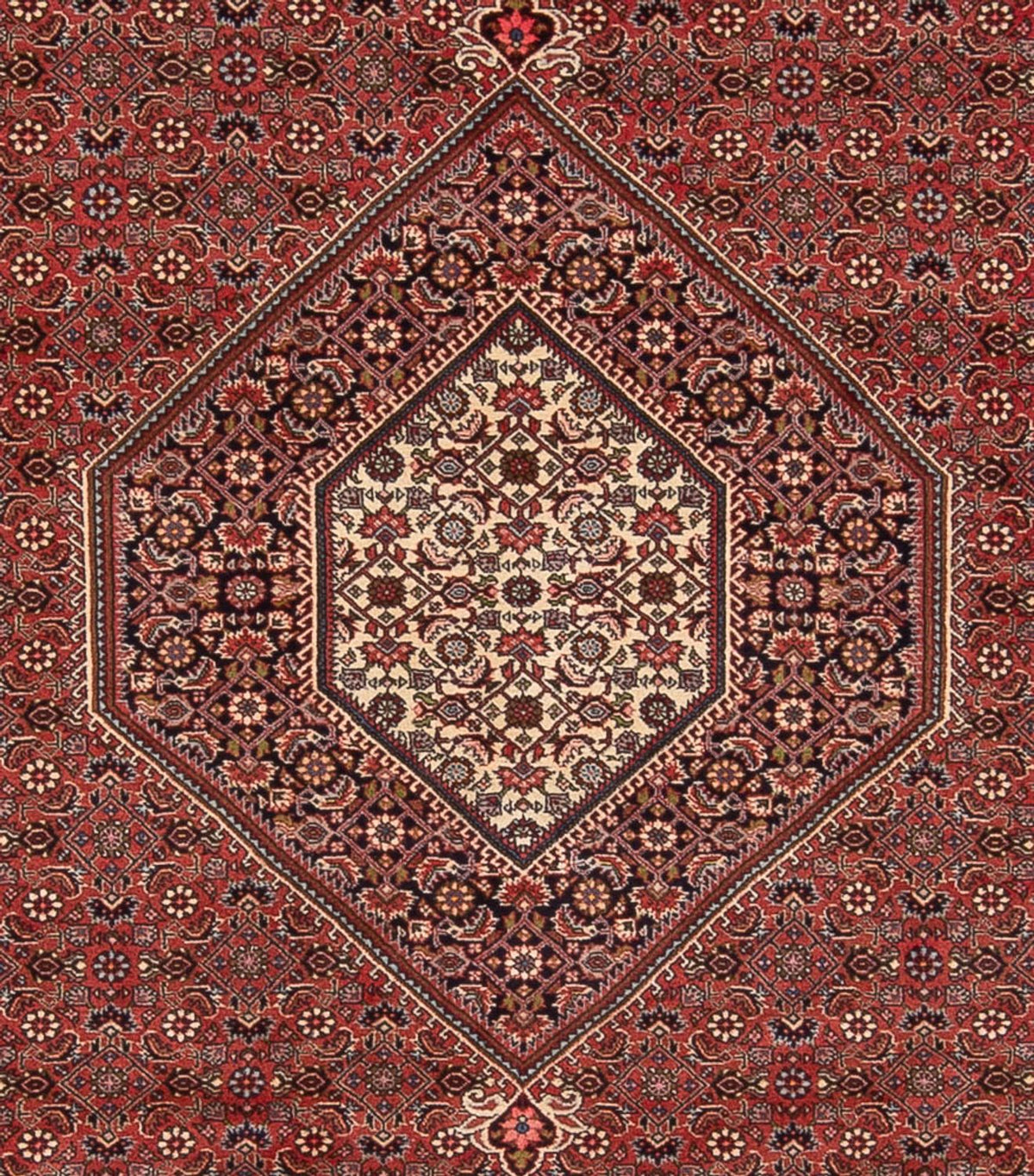Alfombra persa - Bidjar - 348 x 250 cm - rojo oscuro