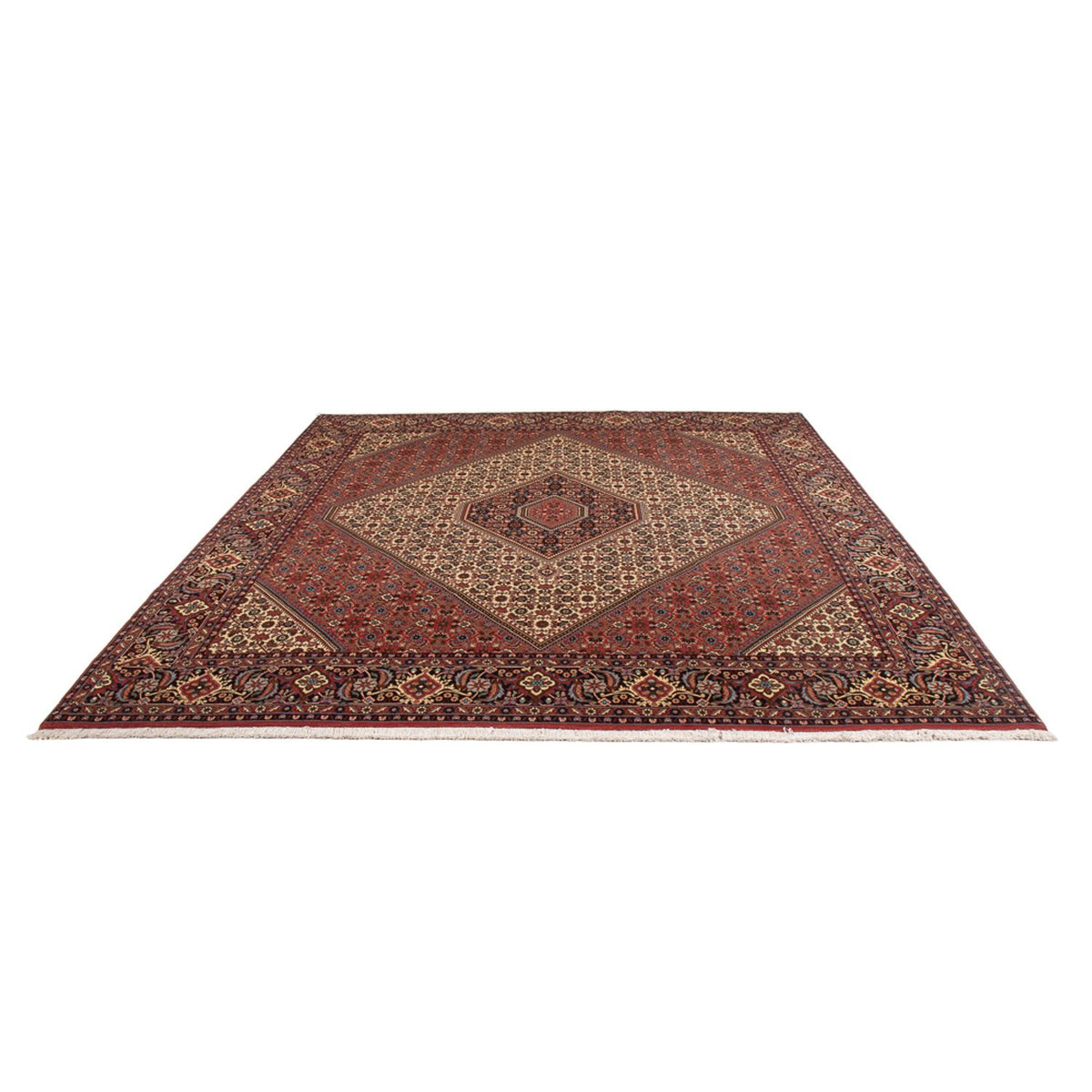 Alfombra persa - Bidjar - 296 x 252 cm - crema