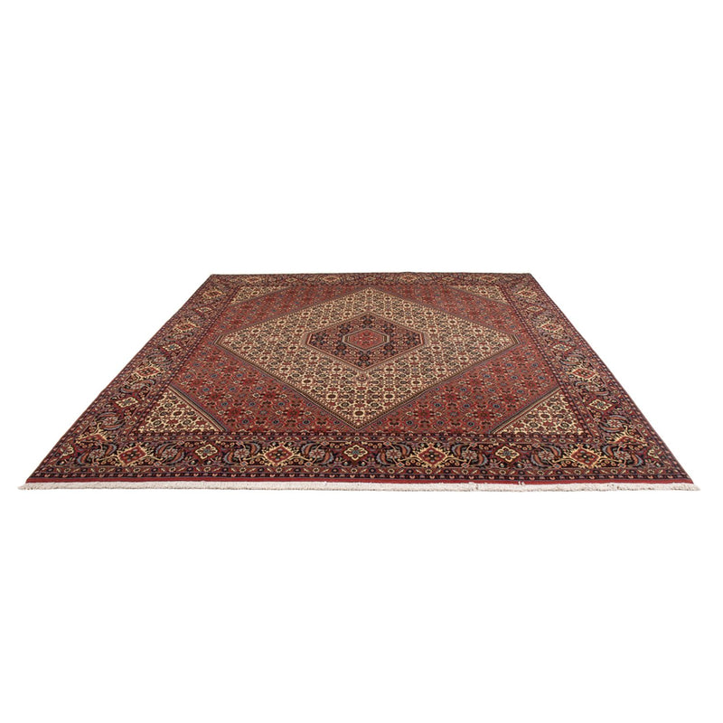 Alfombra persa - Bidjar - 296 x 252 cm - crema