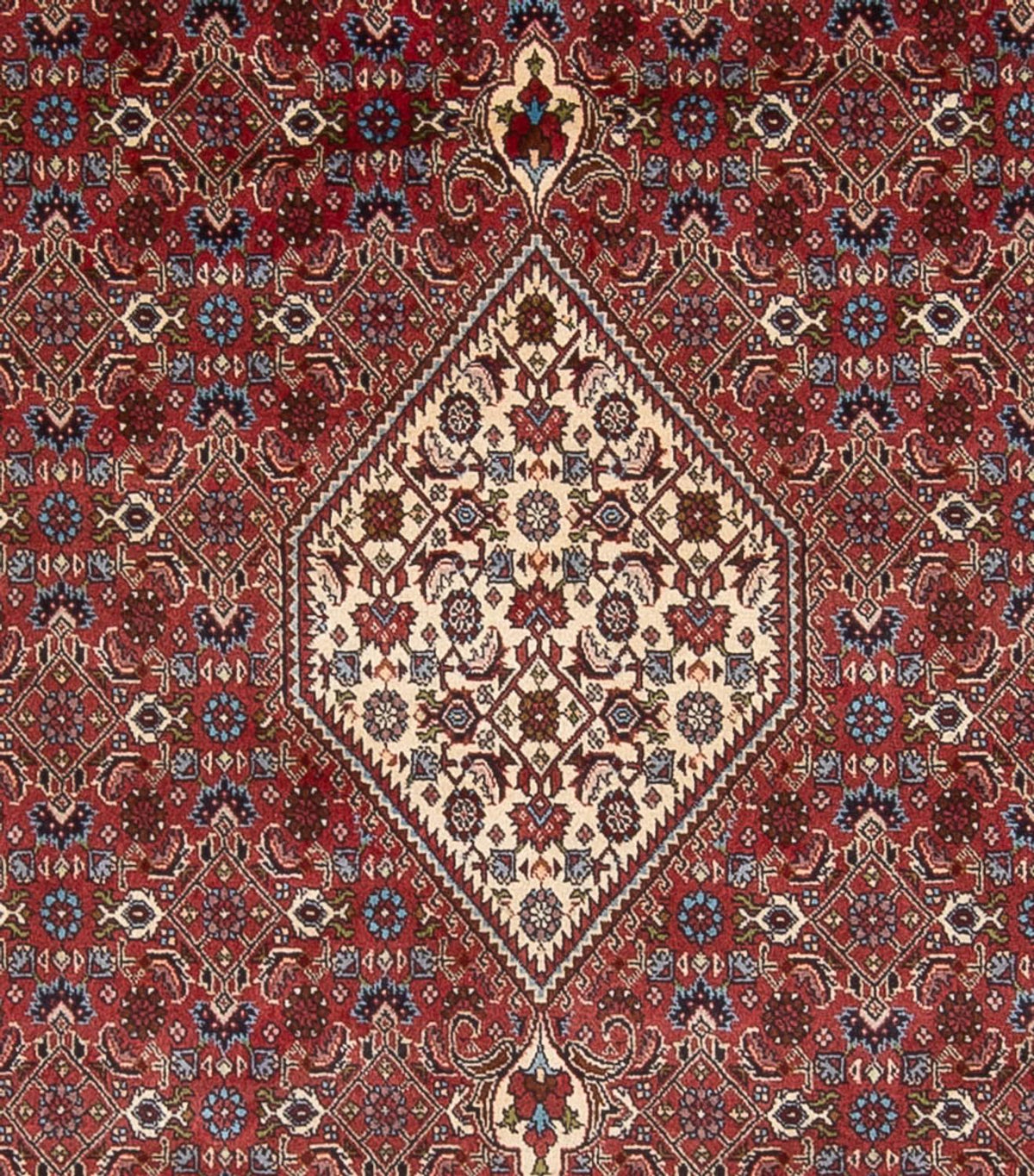 Alfombra persa - Bidjar - 294 x 253 cm - rojo oscuro