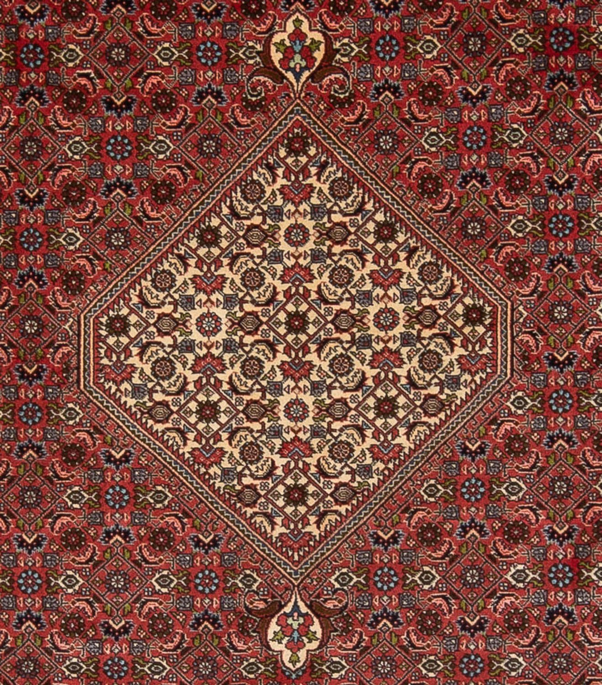 Alfombra persa - Bidjar - 314 x 255 cm - rojo oscuro