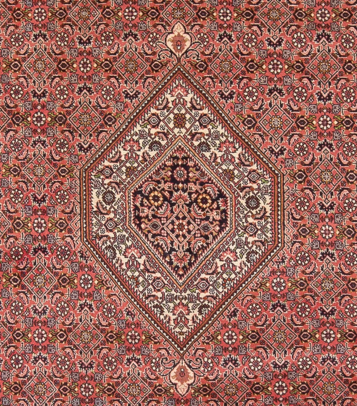 Alfombra persa - Bidjar - 342 x 250 cm - rojo oscuro