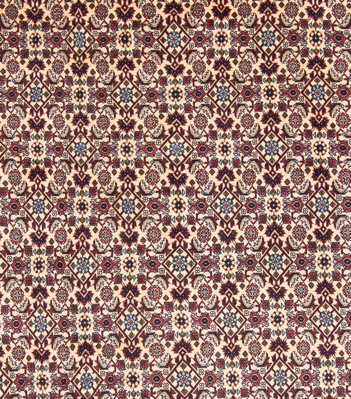 Alfombra persa - Bidjar - 344 x 245 cm - crema