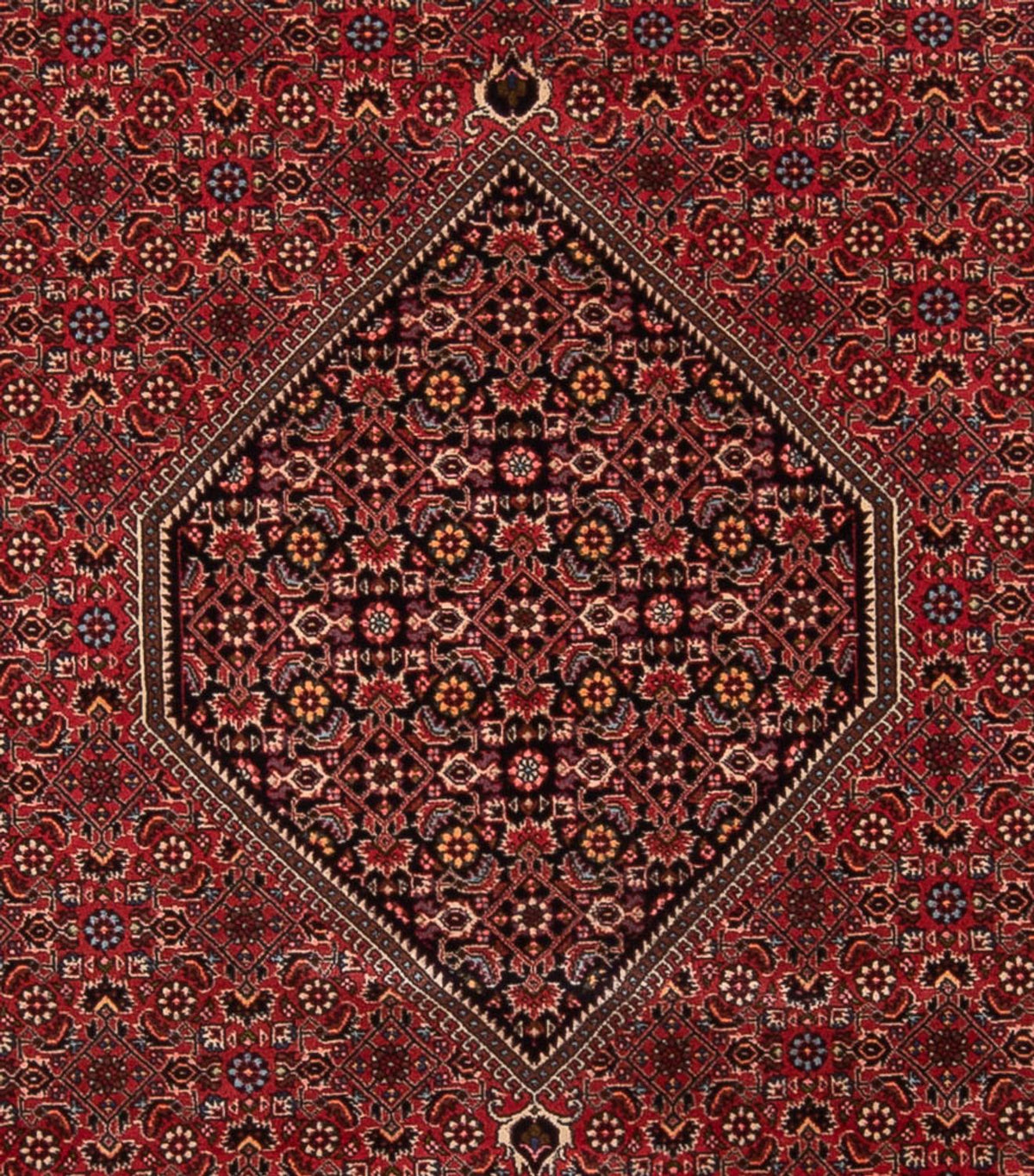Alfombra persa - Bidjar - 347 x 247 cm - rojo