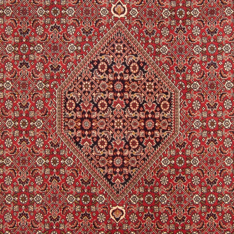 Alfombra persa - Bidjar - 298 x 203 cm - rojo