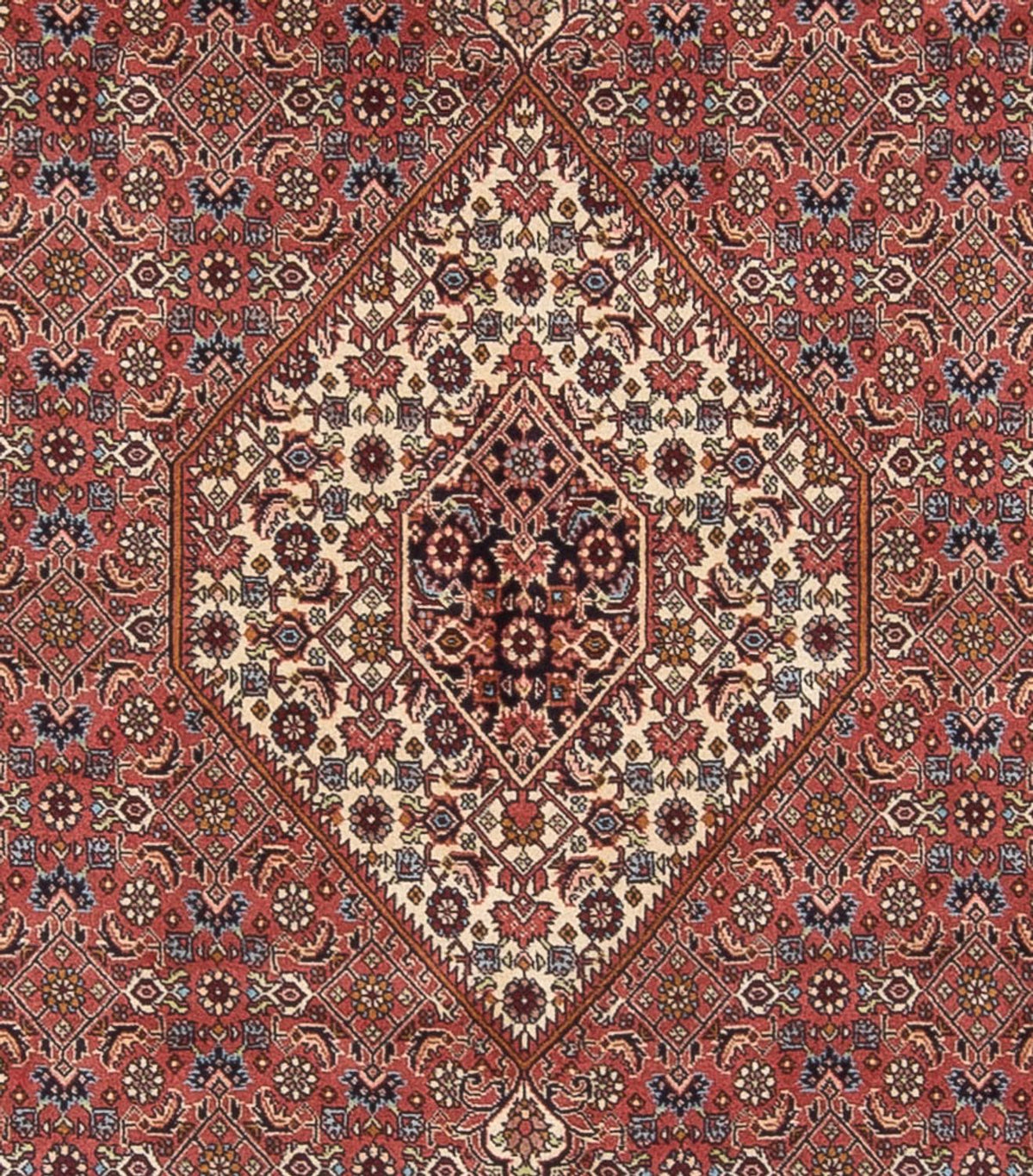 Alfombra persa - Bidjar - 299 x 244 cm - rojo oscuro