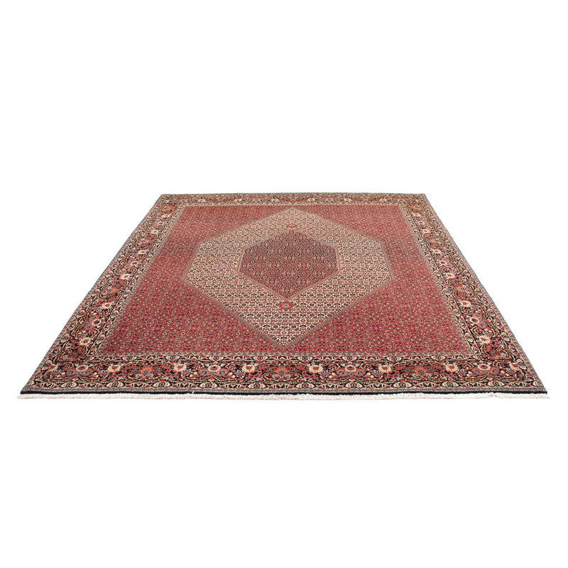 Alfombra persa - Bidjar - 300 x 253 cm - crema