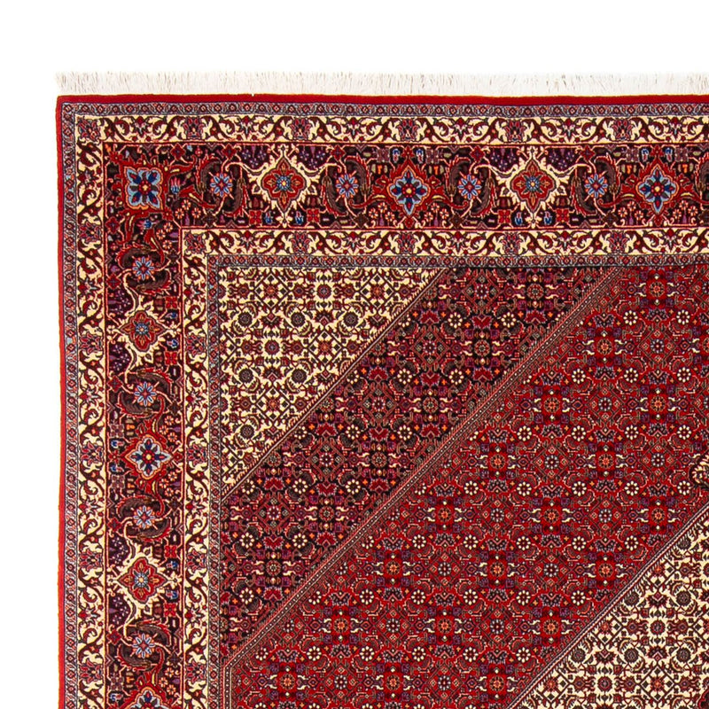 Alfombra persa - Bidjar - 301 x 253 cm - crema