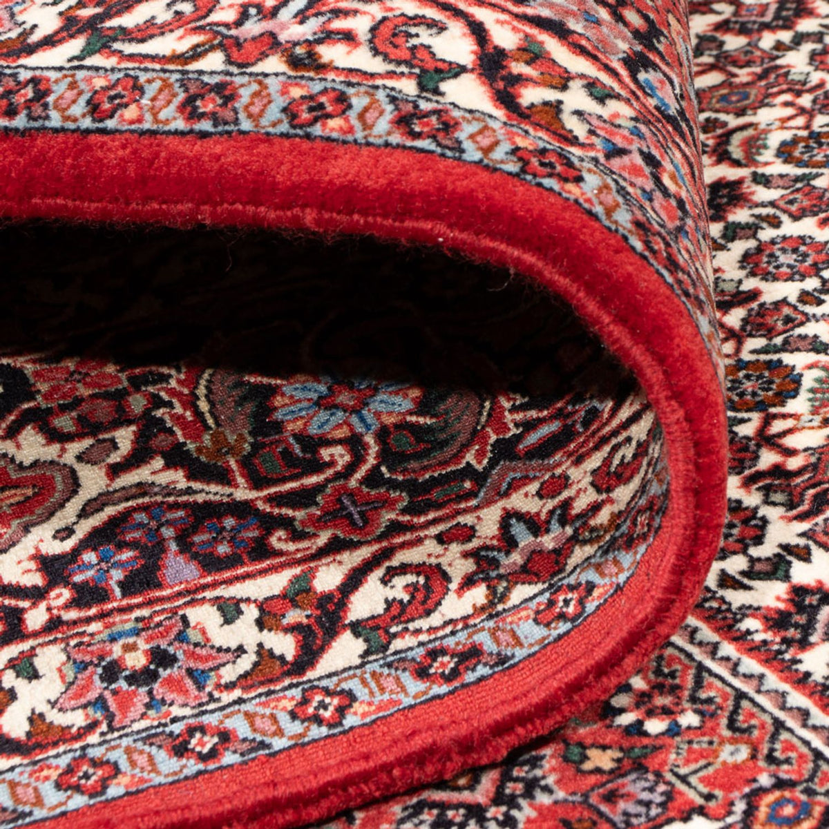 Alfombra persa - Bidjar - 301 x 253 cm - crema