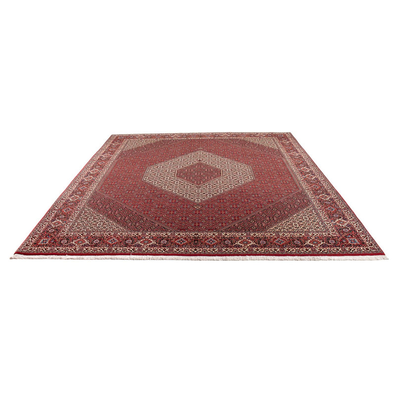 Alfombra persa - Bidjar - 301 x 253 cm - crema