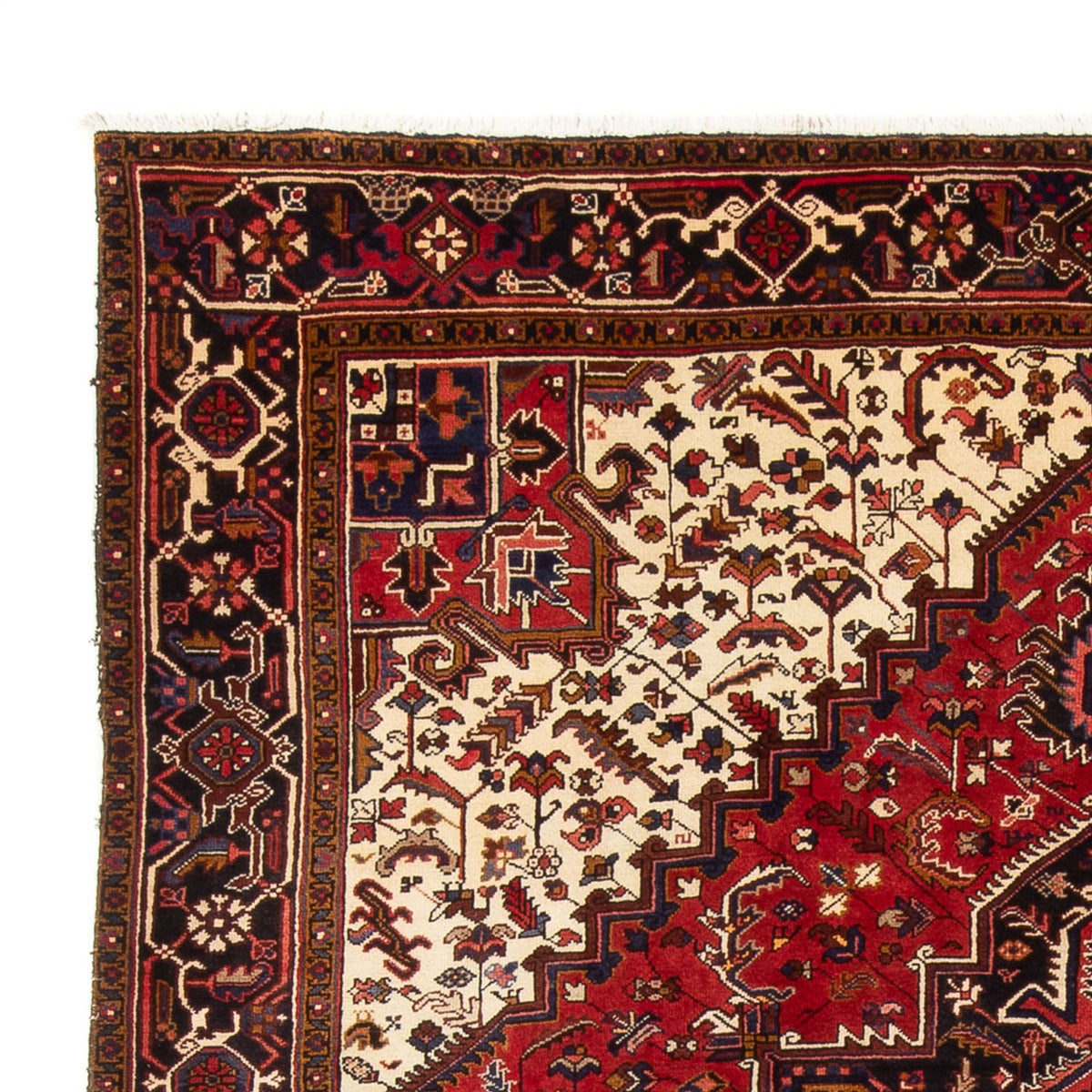 Alfombra persa - Nómada - 339 x 243 cm - crema