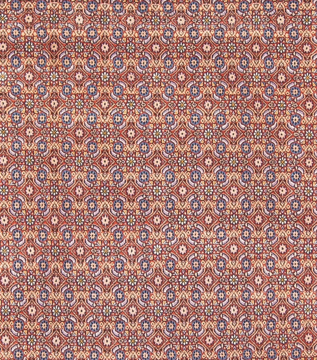 Alfombra persa - Clásica - 294 x 243 cm - azul oscuro