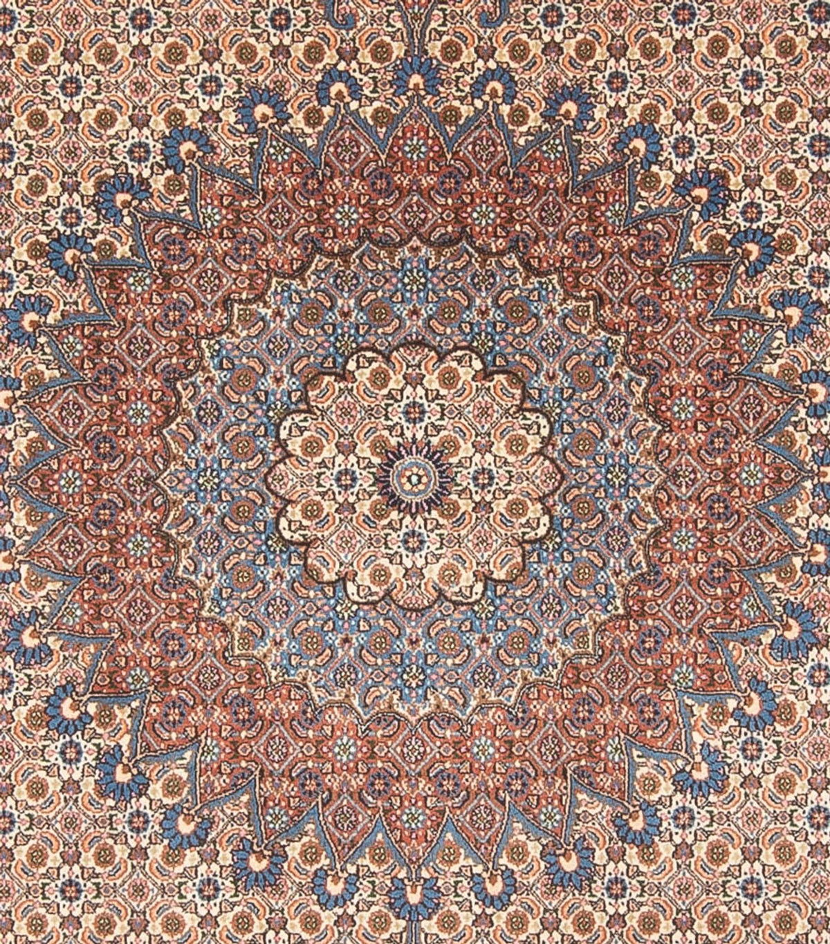 Alfombra persa - Clásica - 303 x 252 cm - beige oscuro