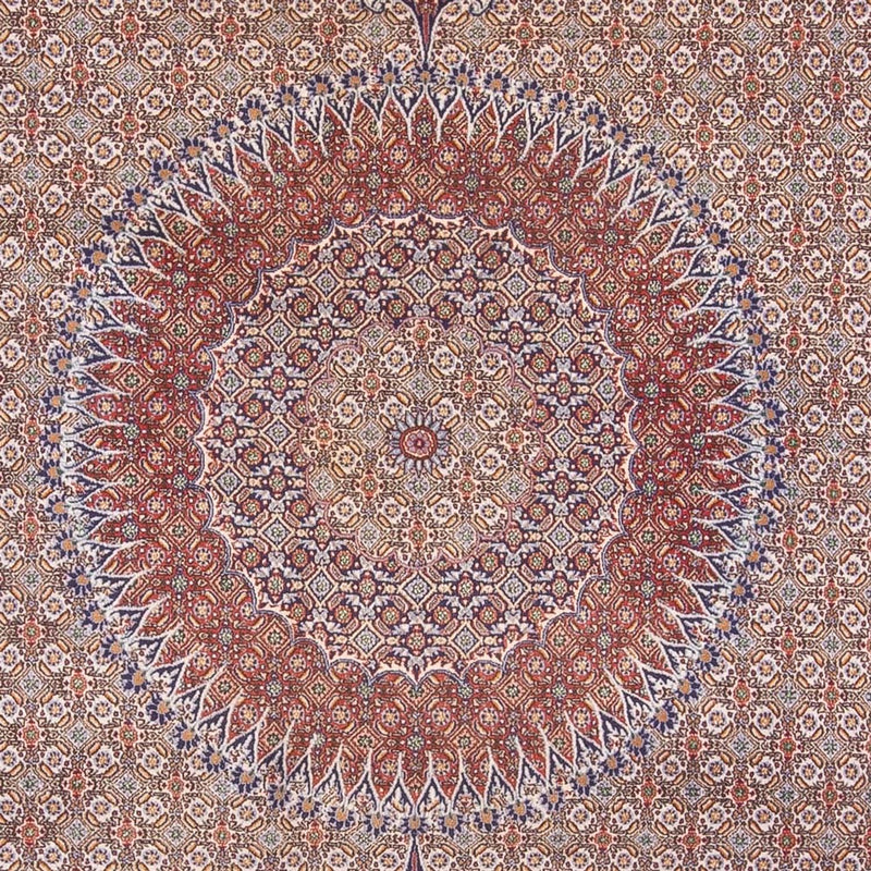 Alfombra persa - Clásica - 388 x 293 cm - beige oscuro