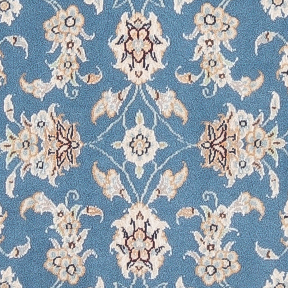 Alfombra de pasillo Alfombra Persa - Nain - Prima - 248 x 81 cm - azul