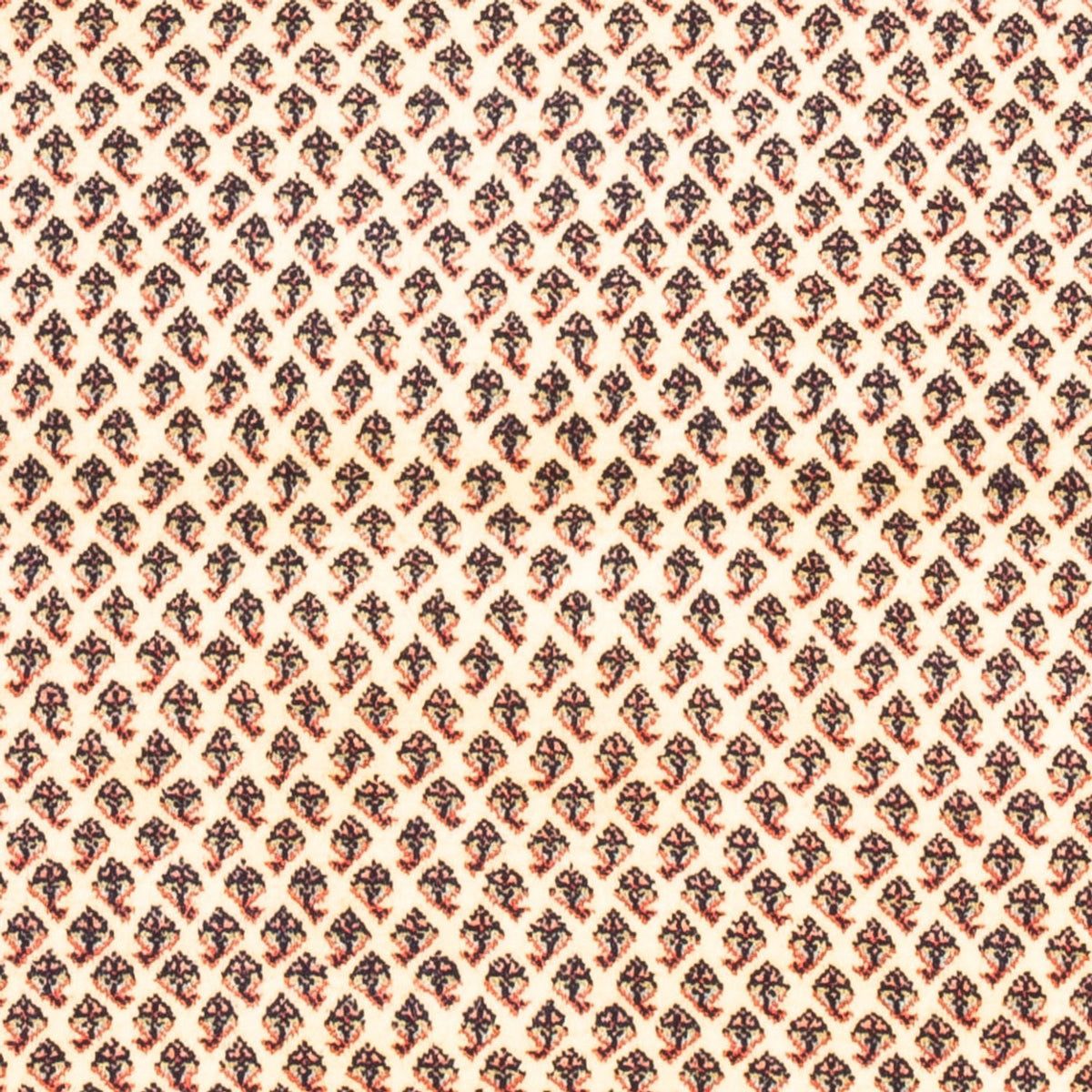 Alfombra persa - Mir - 160 x 107 cm - crema