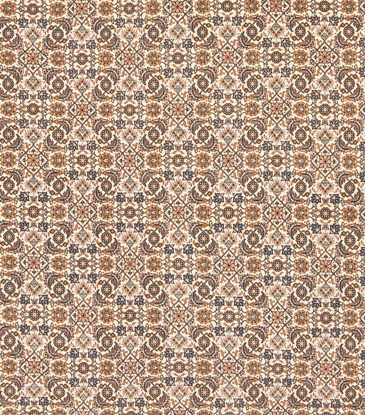Alfombra Persa - Tabriz - Real - 290 x 253 cm - beige oscuro