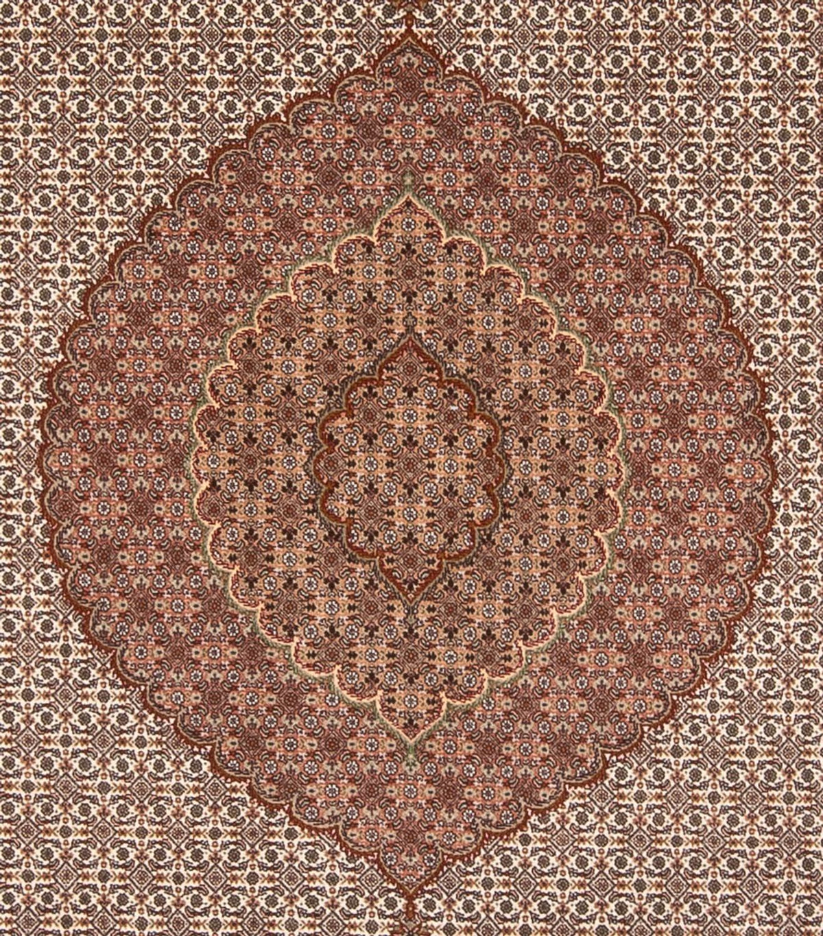 Alfombra persa - Tabriz - 355 x 250 cm - marrón claro