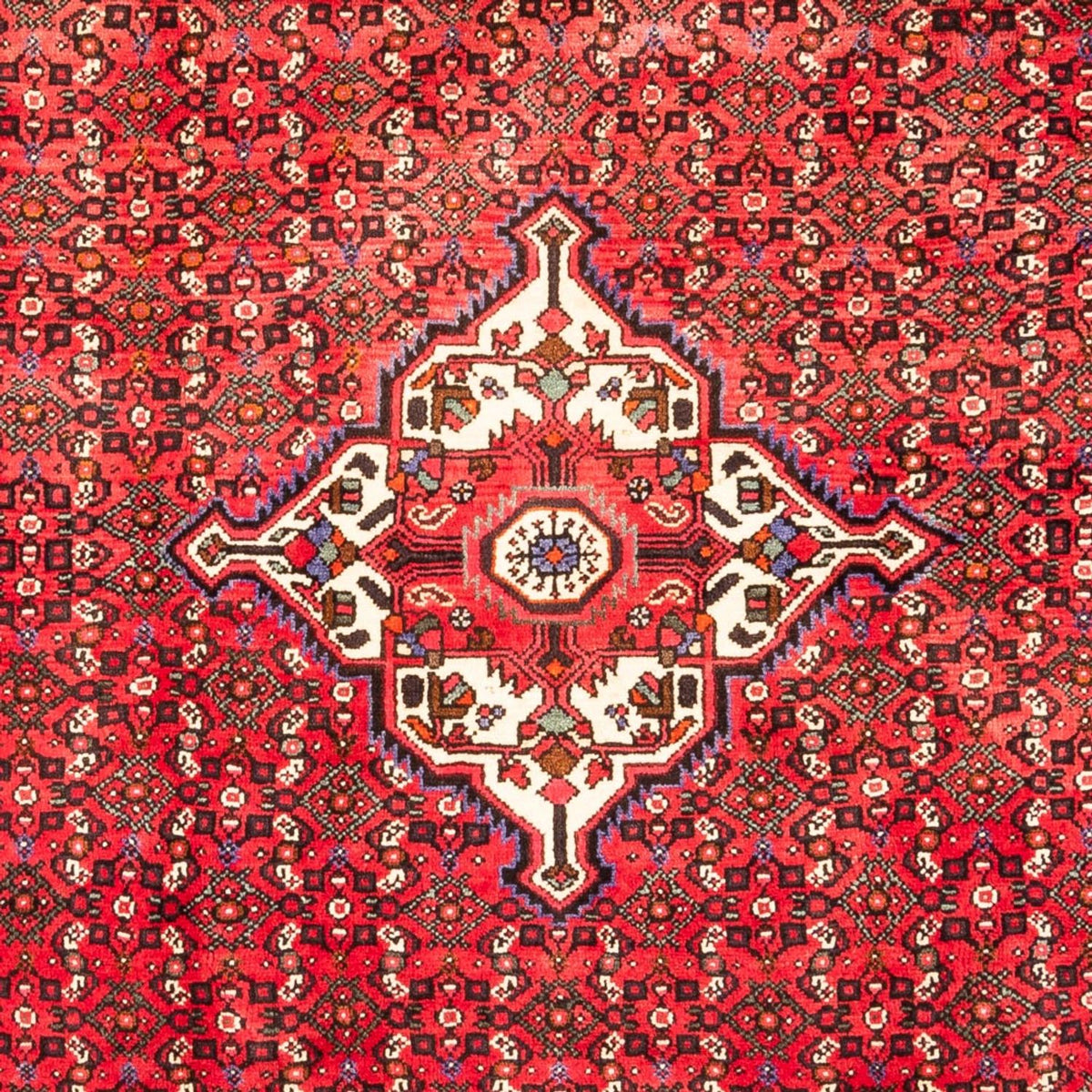 Alfombra persa - Nómada - 318 x 205 cm - rojo