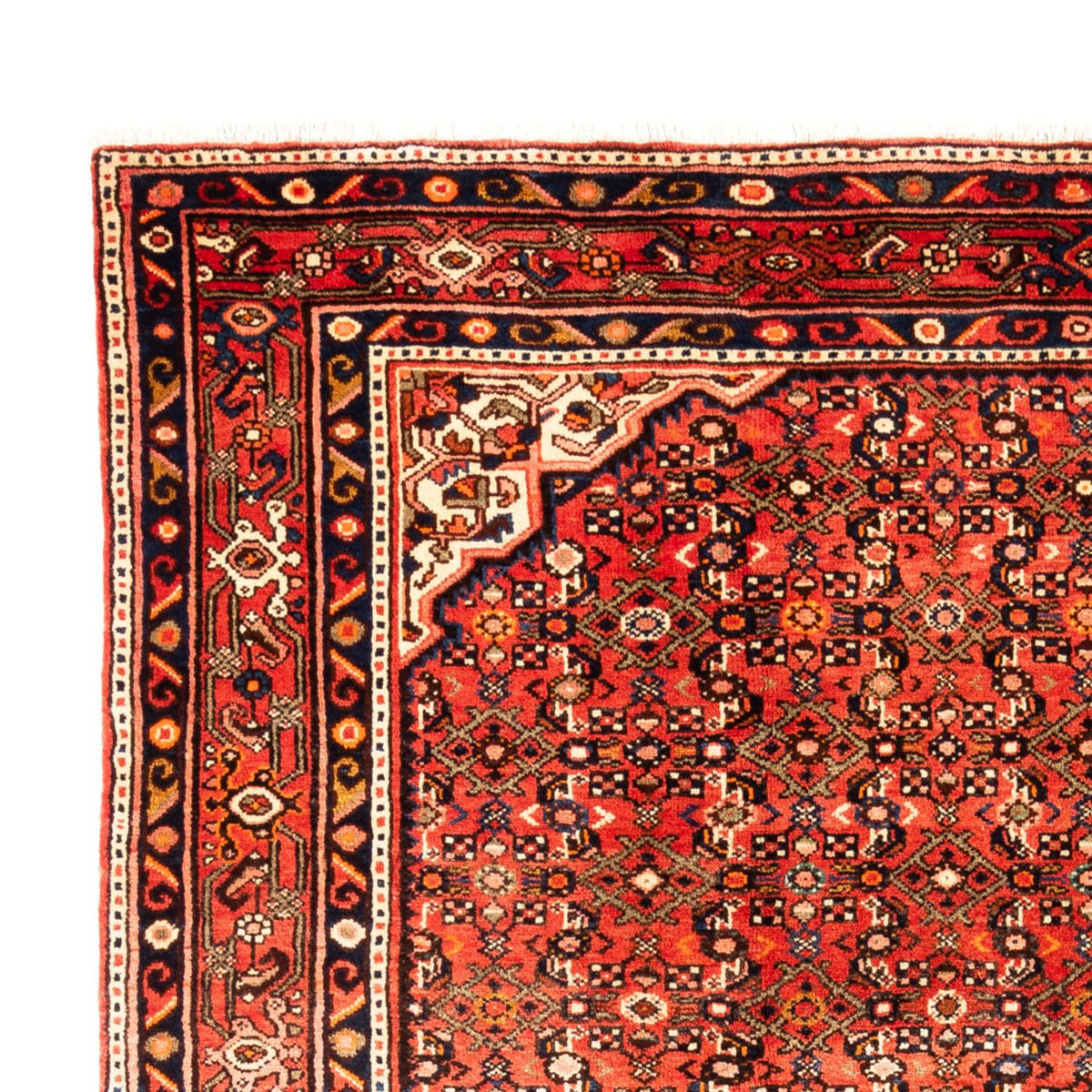 Alfombra persa - Nómada - 314 x 216 cm - rojo