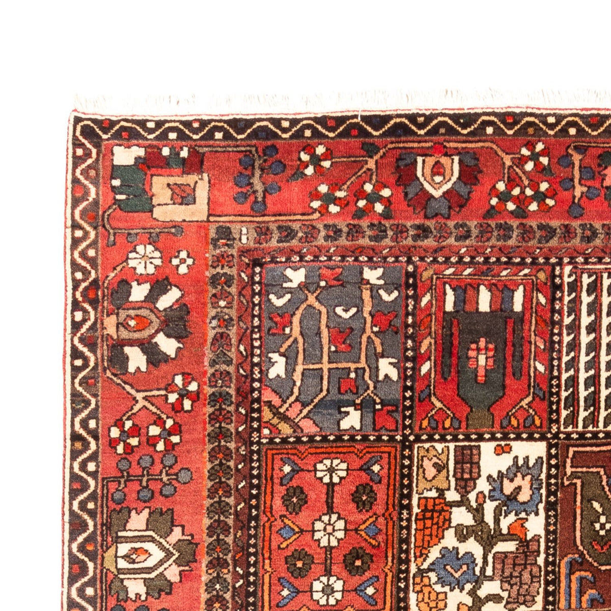 Alfombra persa - Nómada - 314 x 207 cm - multicolor