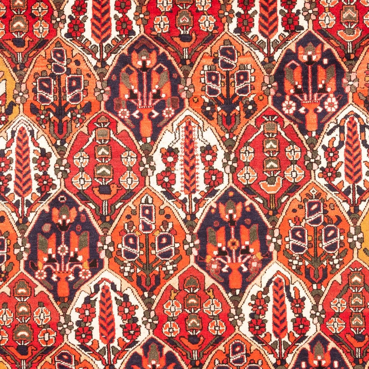 Alfombra persa - Nómada - 300 x 220 cm - multicolor