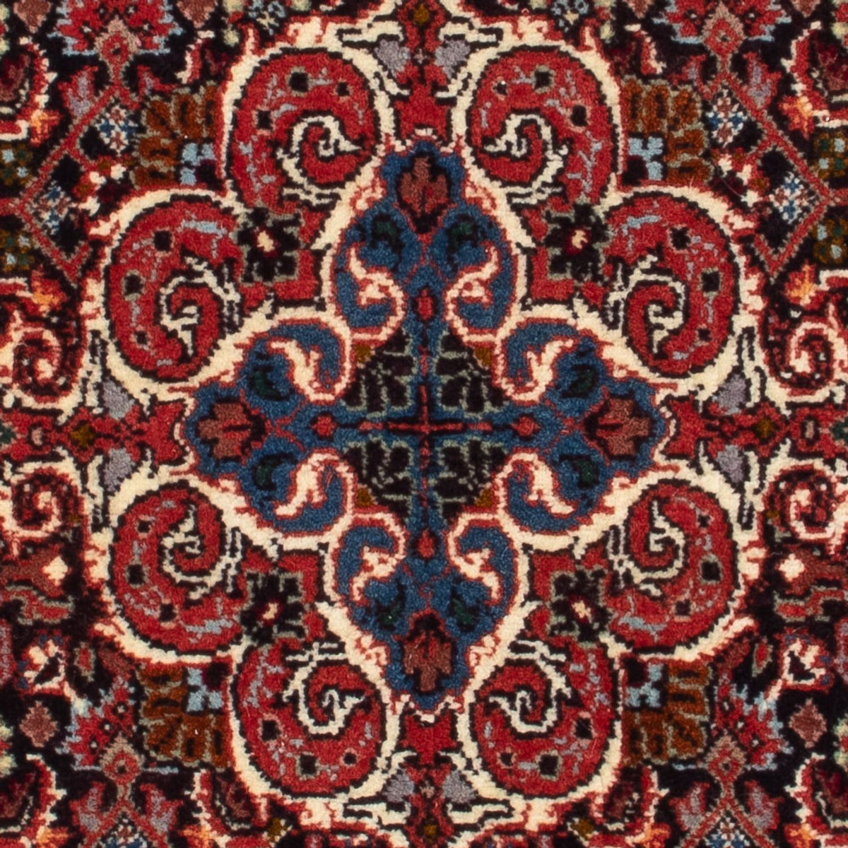 Alfombra persa - Bidjar - 73 x 53 cm - azul oscuro