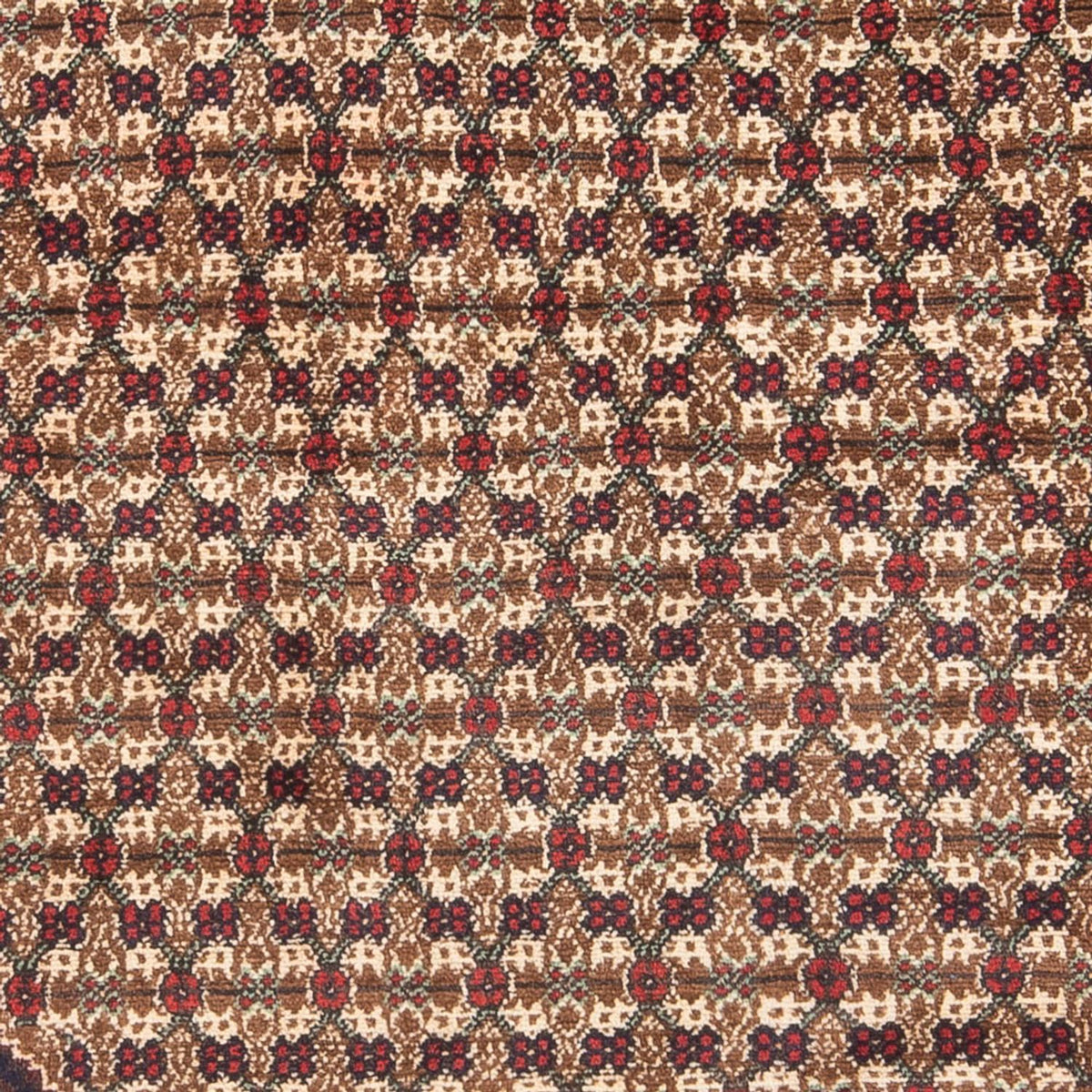 Alfombra persa - Nómada - Real - 197 x 127 cm - crema