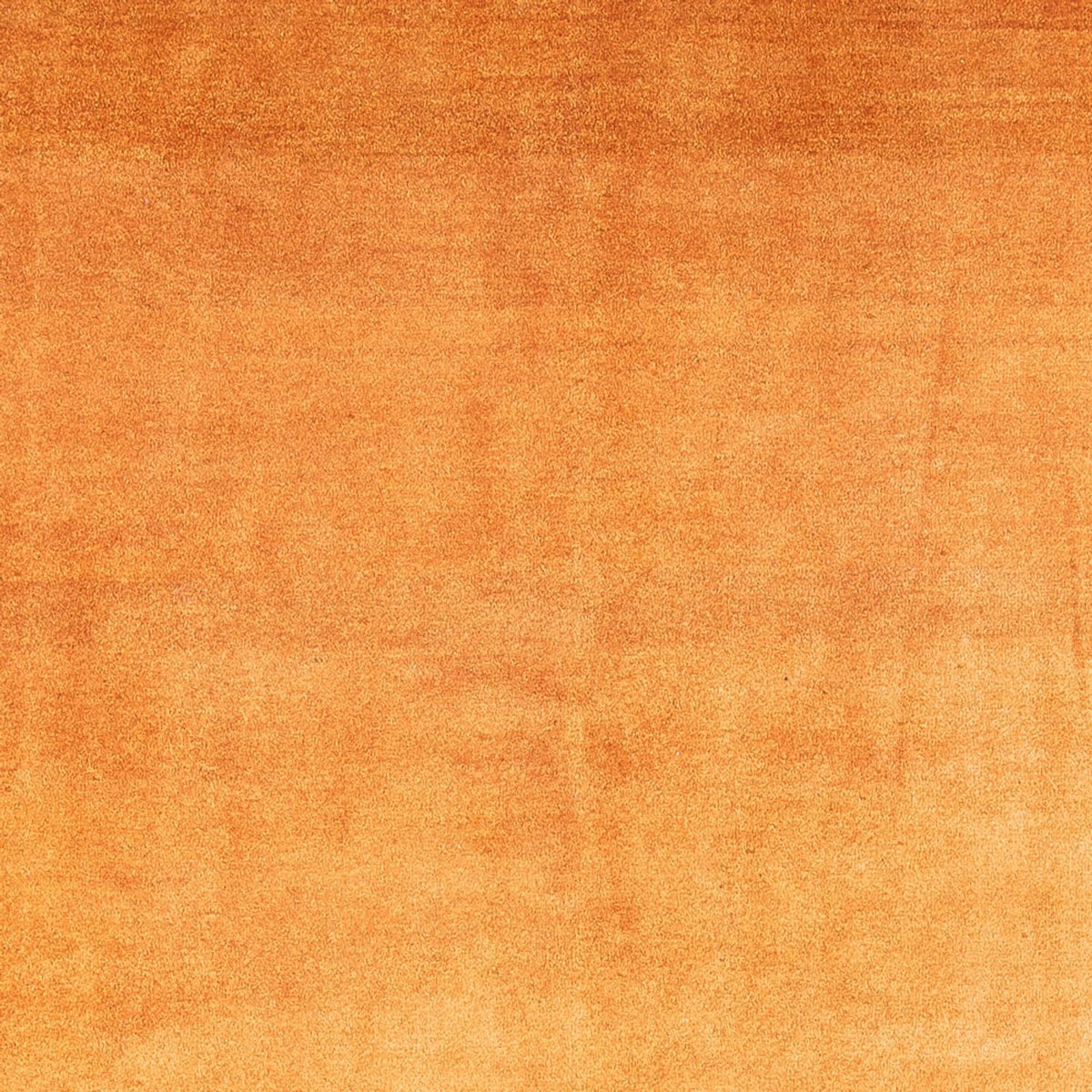 Alfombra Gabbeh - Persa - 286 x 225 cm - oro